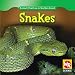 Snakes (Animals That Live in the Rain Forest)