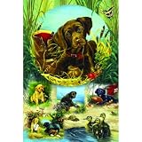 Pond Puppies 625pc Family Jigsaw Puzzle by Linda Picken