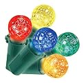 Philips LED Sphere Net Lights - Multicolor (4x4')