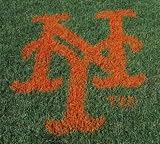 MLB New York Mets Lawn Logo