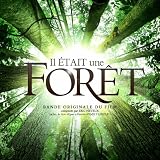 Once Upon a Forest