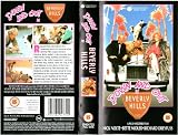 Down and Out in Beverly Hills [VHS]