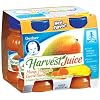 Gerber Juice Yogurt Blends Assorted