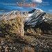 Search : Nevada, Wild & Scenic 2009 Square Wall Calendar