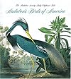 Birds of America