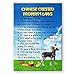 Chinese Crested Property Laws Fridge Magnet