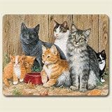 Artworks Home Accents Barn Cats Tempered Glass Small Cutting Board