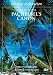 Virtual Relaxation: Escape to Pachelbel's Canon [DVD] [Import]