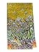 Swhiteme Luxurious 100% Silk Charmeuse Long Scarf - Vincent Van Gogh's Irises