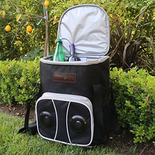 Cart Cooler with Bluetooth Speaker