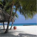 White Sandy Beach Gallery Wrapped Canvas - 20x20"