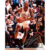 Dennis Rodman Chicago Bulls - White/Action1 - 8x10 Autographed Photograph