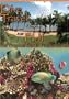 Dive Travel  Fiji The Tropical South Pacific Islands