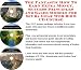 Book The Fantastic How To Earn Extra Money, Success Principles and Sales Models for Scuba Gear Web Biz 3 CD Course