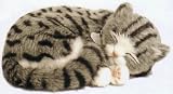 PERFECT PETZZZ GRAY TABBY CAT