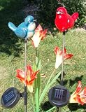 Solar Powered Color Changing Blue and Red Birds. One Bird a Stake. 2 Stakes a Pair.