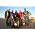 Thumbnail image of Tinariwen