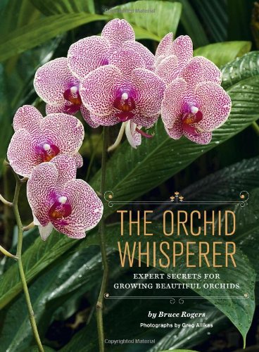 the orchid whisperer expert secrets for growing beautiful orchids