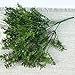 Green Artificial Plant 6 Branches Parsley Grass Home Wedding Decor