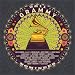 2011 Grammy Nominees