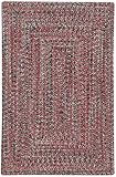 Agua Outdoor Area Rug by Capel Rugs - Terra Cotta