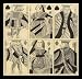 Alfred Crowquill (Caricature Playing: Jack, Queen, King (Spades), jack, queen, king (Karo)) Framed Art Poster Print - 11 X 17
