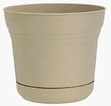 Duraco #S1220 TUSK 12-1/4Tusk Satin Planter