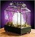 Table Top Barrel Roof Wardian Case Terrarium