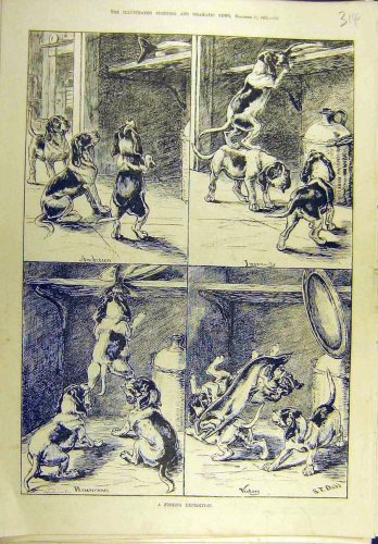 1882 Fishing Expedition Puppies Fish Dadd Fine Art