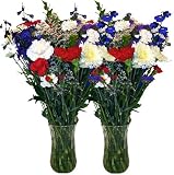 4th of July Flowers - Fresh Cut, Long Lasting Mixed Bouquet - Free, Fast Shipping - Double Bouquet