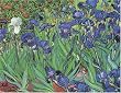 Irises - 5" x 7" Museum Quality Greeting Card