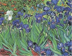 Irises - 5" x 7" Museum Quality Greeting Card