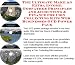 Search Our Specialty Mall : The Ultimate Make An Extra Income, Godfather Principles and Accounting & Finance for Coin Collecting Kits Web Businesses 3 CD Power Pack