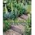 John Brookes' Garden Masterclass (American Horticultural Society Practical Guides)