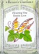 Exotic Love Flowering Vine Seeds 35 Seeds