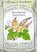 Exotic Love Flowering Vine Seeds 35 Seeds