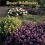 Desert Wildflowers: 2003