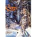Gorn, tome 4 : Le sang du ciel