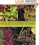 Coleus: Rainbow Foliage for Containers and Gardens