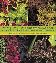 Coleus: Rainbow Foliage for Containers and Gardens