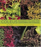 Coleus: Rainbow Foliage for Containers and Gardens