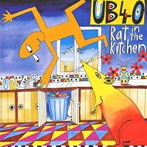 Rat In The Kitchen