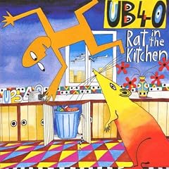 Rat In My Kitchen