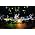 Thumbnail image of Soundgarden