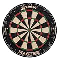 Master Bristle Dartboard