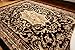 Generations pre8024black_2x8 Traditional Opera Persian Area Rug, 2' x 7', Black