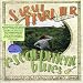 Music : Sarah Harmer: Escarpment Blues