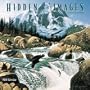 Hidden Images 2001 Calendar (Fanciful & Unique)