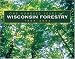 100 Years Of Wisconsin Forestry, 1904-2004