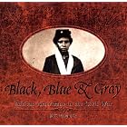  Black, Blue and Gray: African Americans In The Civil War  by Jim Haskins